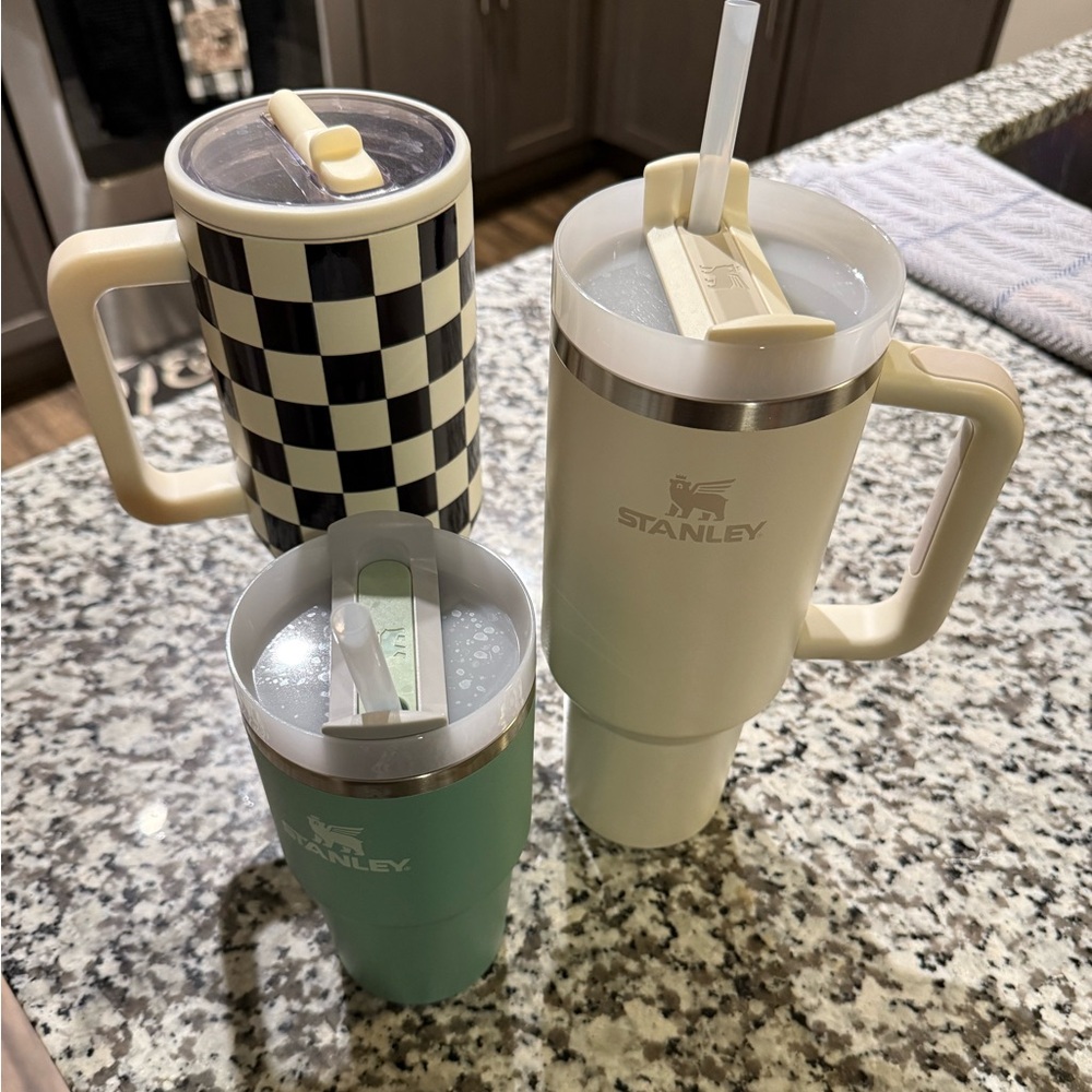 Stanley Tumbler Set with Straws